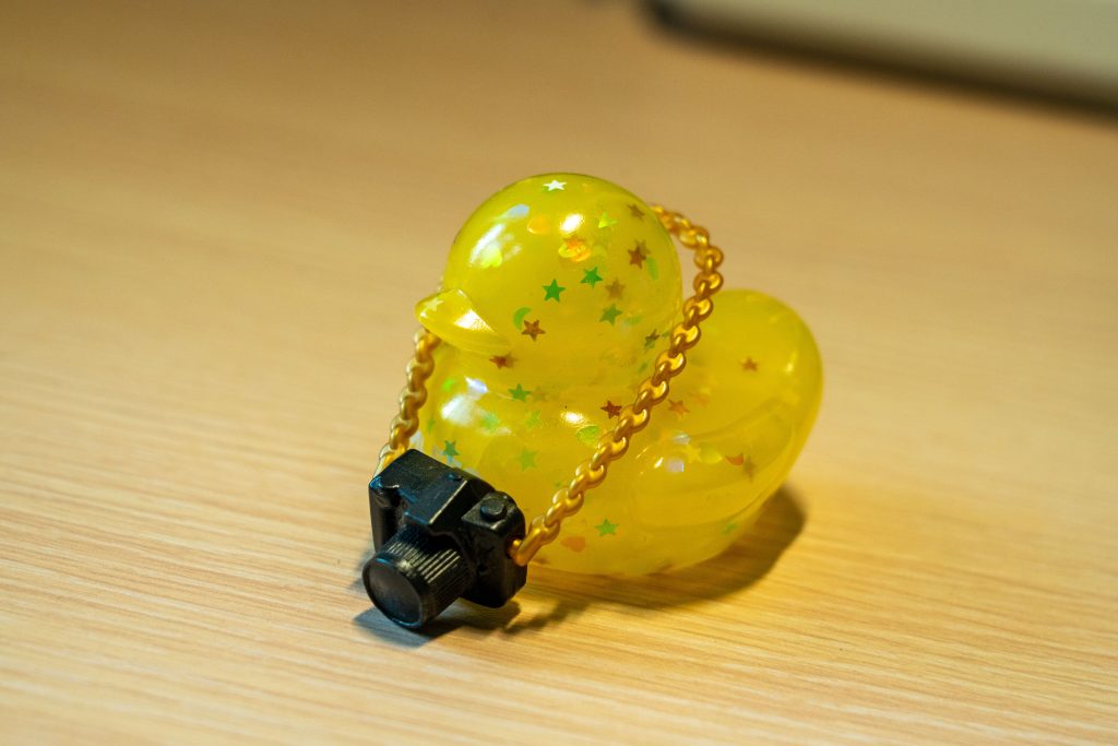 摄影小黄鸭